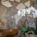 Apartmán Insel Reichenau